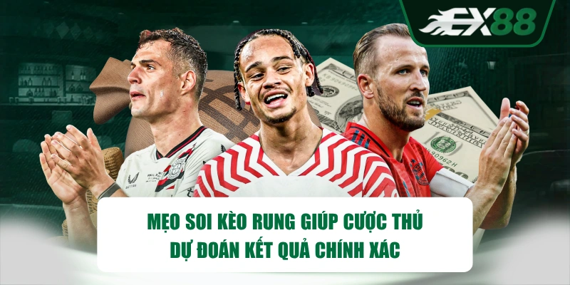 Mẹo soi kèo rung giúp cược thủ dự đoán kết quả chính xác